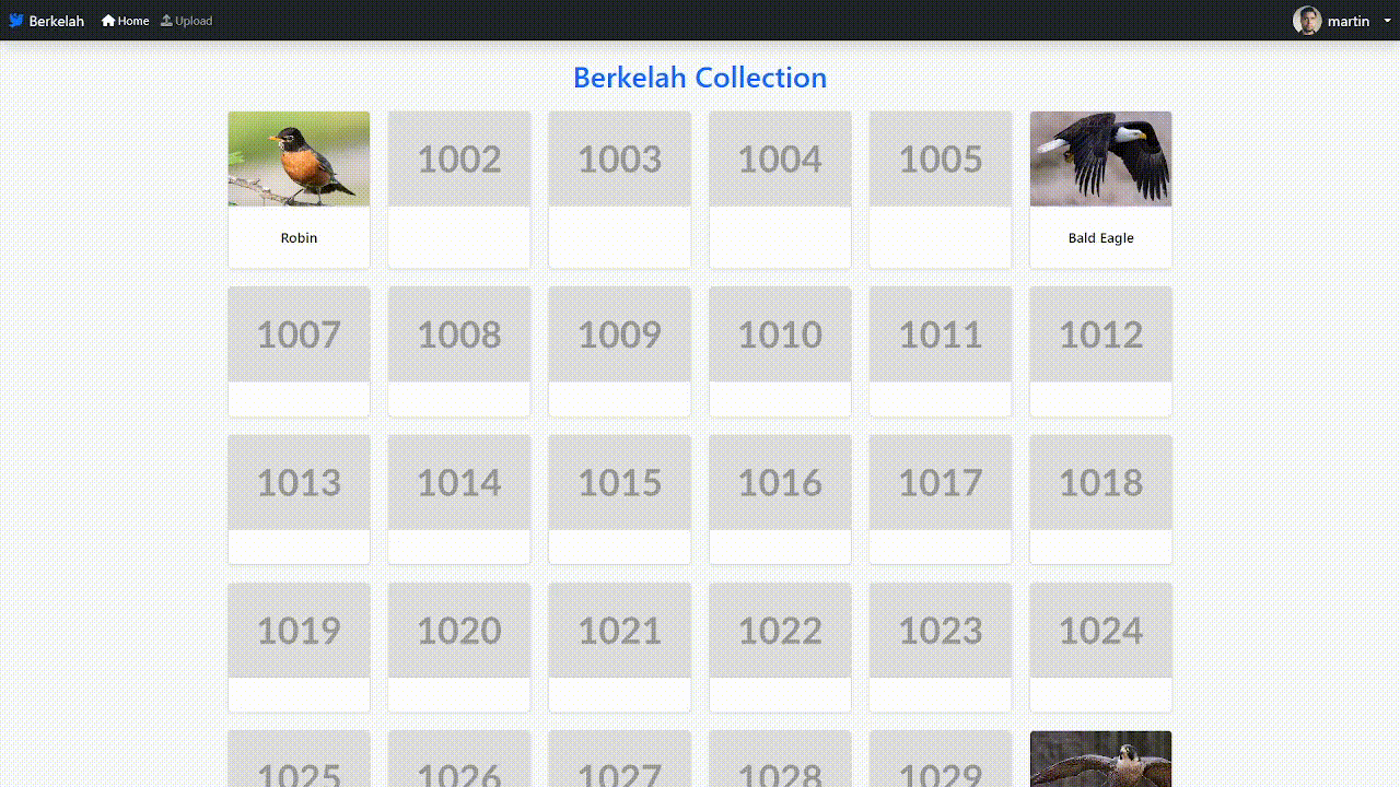 Digital collection interface